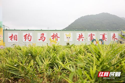 姜 山多娇 庆丰收 汝城县举办2023 第三届 生姜文化节