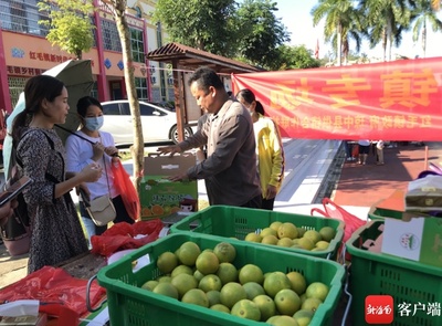 琼中:党建引领跑出乡村治理"加速度"