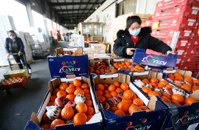 秘鲁牛油果、摩洛哥柑橘、越南菠萝蜜…进口水果又来了!--国际农副产品交易市场复产复市有序推进